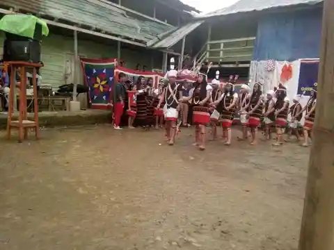 ANAAL